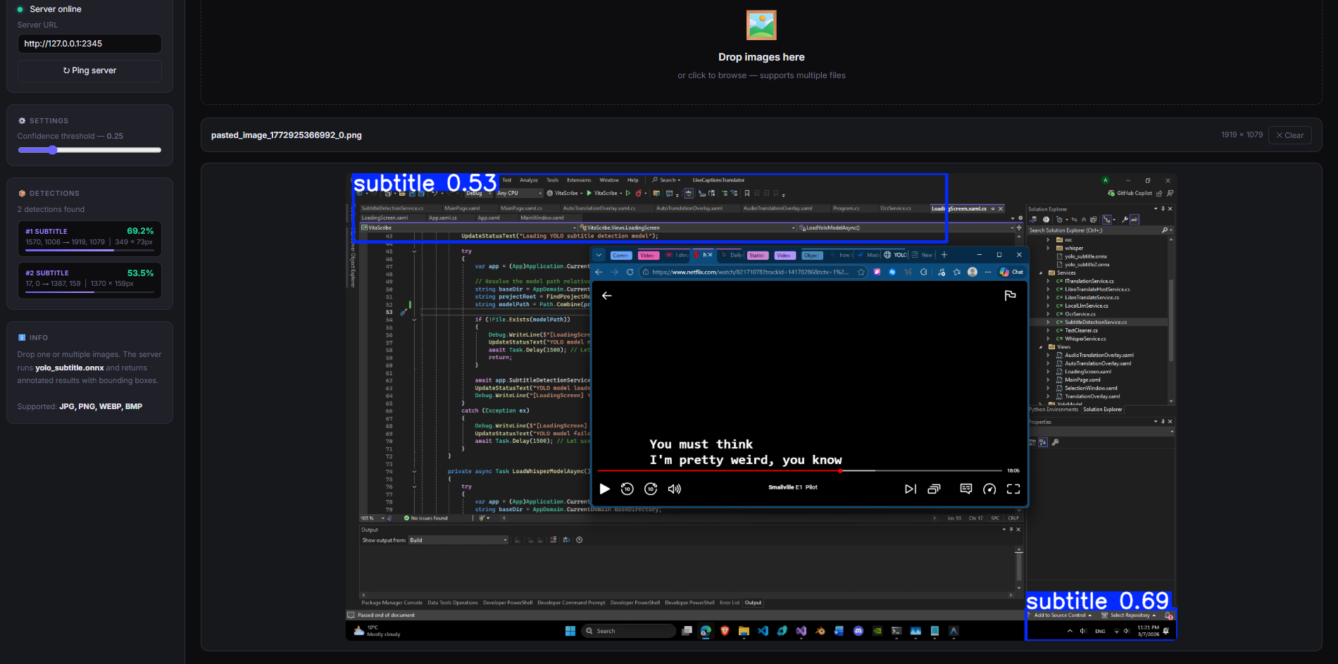 Model 1 UI Hallucination